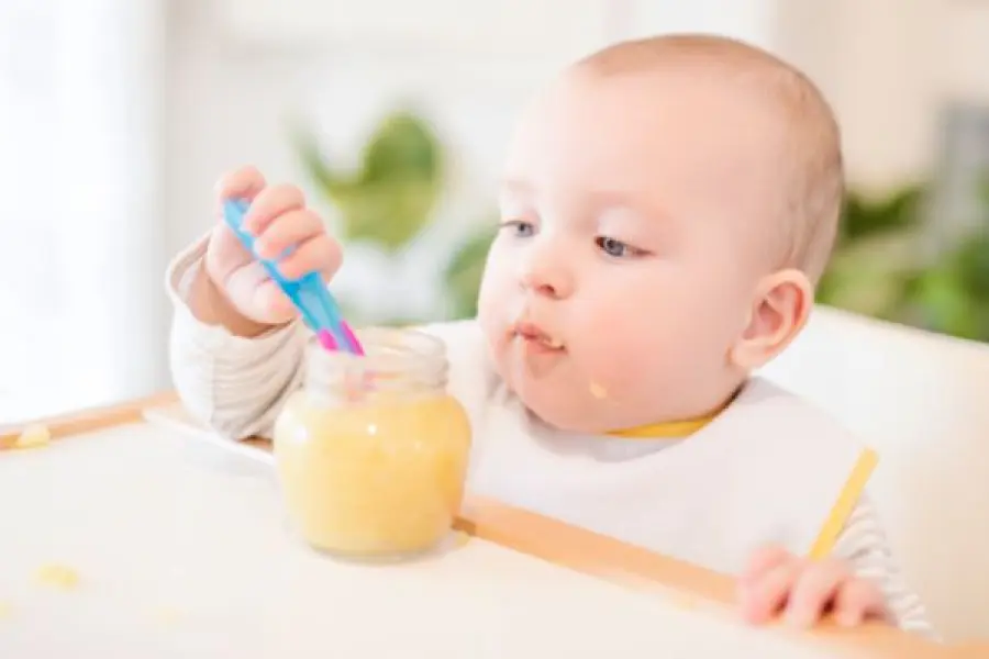 Come fare gli omogeneizzati in casa