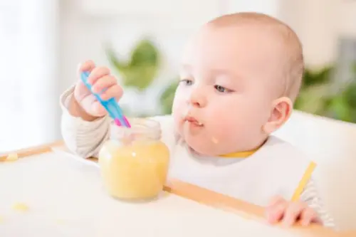 Come fare gli omogeneizzati in casa