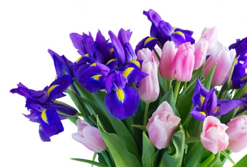 Acquistare fiori online: la convenienza unita alla comodità