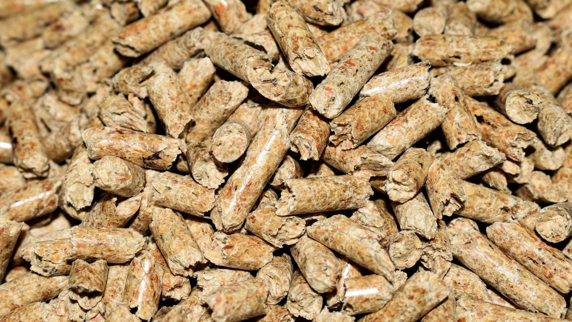 Manutenzione della stufa a pellet: tutte le info del caso